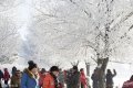 2018年12月12日，吉林省吉林市松花江畔吉丰东路阿什村出现“五星”级雾凇奇观，比前一天的景观更胜一筹，吸引众多游客和市民。