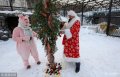 当地时间2018年12月13日，俄罗斯克拉斯诺雅茨克，当地动物园饲养员送给动物园里的北极熊一棵挂满鱼和蔬菜的圣诞树。