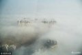 2018年3月12日，山东省日照市迎来一场平流雾，一大早雾气弥漫距离海边较近的城区，雾气缭绕的城市在超高建筑上俯瞰“仙气儿十足”。