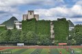 2018年6月20日，贵阳，贵州大学现12层楼近50米高绿色“巨瀑”。据悉，这是该校的老师们在26年前栽种的300多棵爬山虎，如今爬满12层高的图书馆大楼，犹如“绿色城堡”。