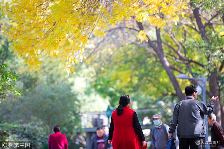 2018年10月23日，济南泉城公园内秋色正浓，许多树叶已经变成金黄色。