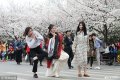 2019年3月21日，武汉大学樱花季首日，提前网上预约赏樱的八方游客如约而至。